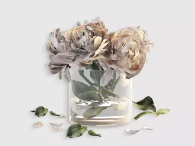 Bouquet of peonies in a glass vase 3D model