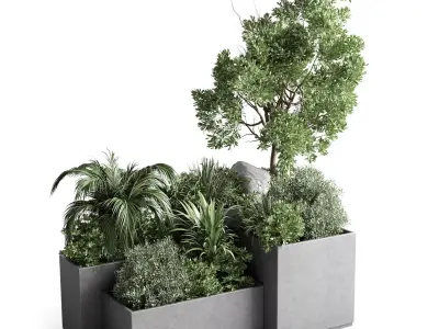 Garden plants in concrete boxes standing 3D model
