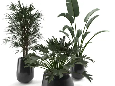 decoration flower01 Low-poly 3D model