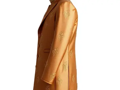 Golden Embroidered Jacket model pack Low-poly 3D model
