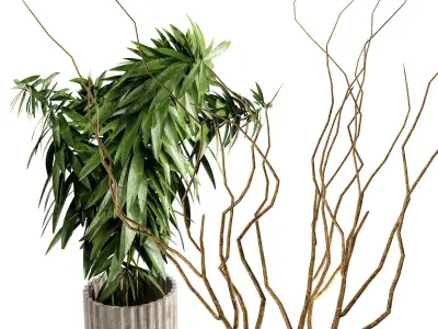 decorative set 75 3D model