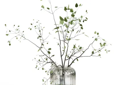 Branches plant with galss vase white bouquet 22 3D model