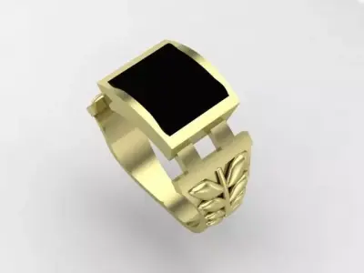 Rings 3D print model 6