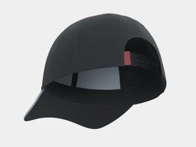 cap NY 3D model