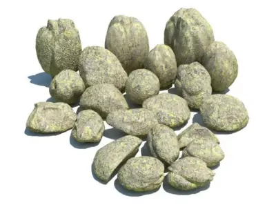 Large Garden Stones 3D model