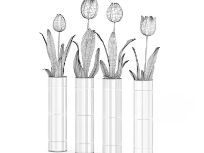 Four Tulips in Glasses 3D model