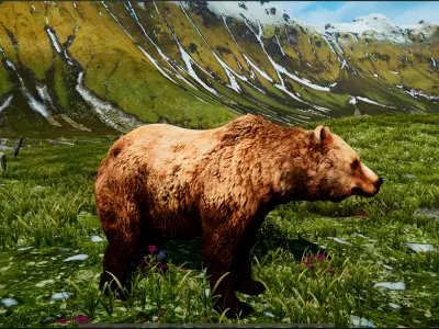 Realistic Animals PACK Low-poly 3D model