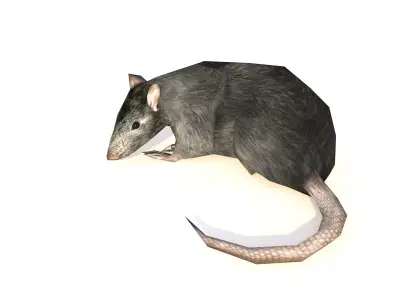Low-Poly Rat Rigged-Animated Mouse 3D Model Low-poly 3D model