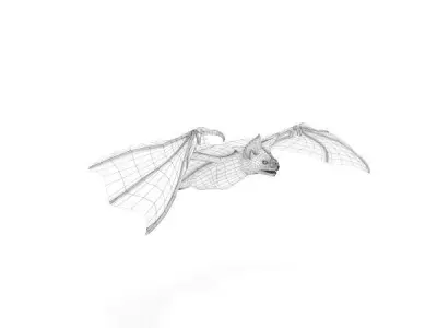 Vampire Bat Low-poly 3D model