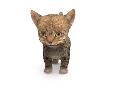 Cute Cartoon Cat Animated Low-poly 3D model