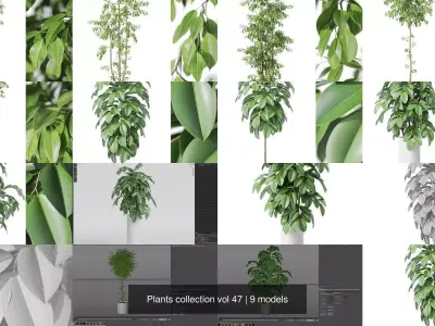 Plants collection vol 47