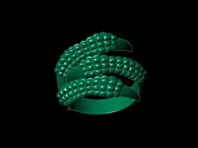 Dragon claw  Free 3D print model