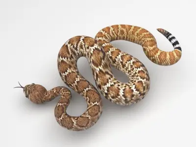 Viper Snake 3D model