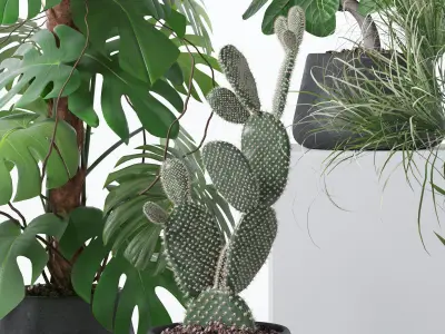 Plants collection 131 3D model