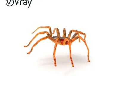 Huntsman Spider Agile Model Pack Low-poly 3D model
