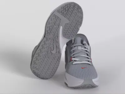 NikeLeBron Witness 6  Pure Platinum Low-poly 3D model