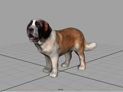 SAINT BERNARD 3D model