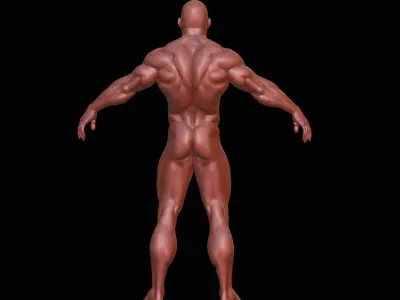 Bodybuilder male figurine 3D print model