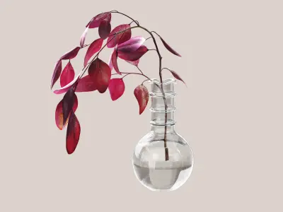 Eucaliptus flower 3D model