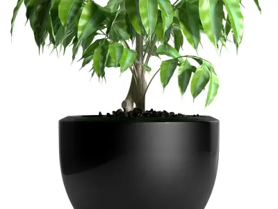 plant 128 3D model