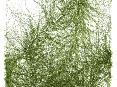 Leaves for walls 3D model