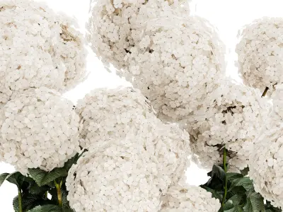 Festive Bouquet Glass Vase With White Hydrangea 581 3D model