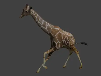 Giraffe with long legs Low-poly 3D model