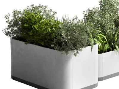 stand plant box Indoor plant concrete vase pot fern grass 3D model