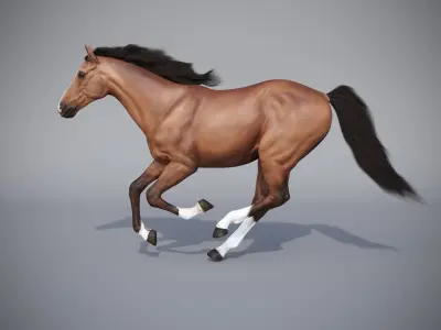 Horse in three poses  not animated Low-poly 3D model