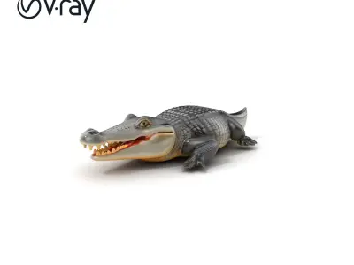 Crocodile Resting Realistic Model Pack Low-poly 3D model