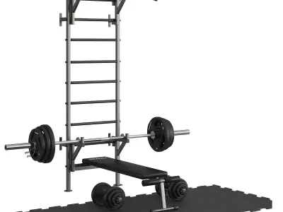 Sport Swedish Wall 3D model