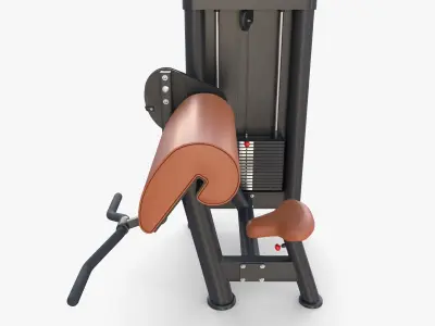 Curl machine 3D model