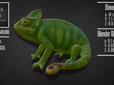 Realistic Chameleon Model 3D model