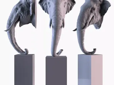 Head Elephant Asian 3D print model