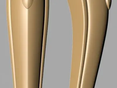 Carved Leg 3D model