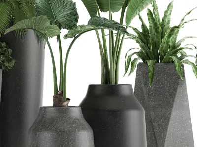 Collection of decorative plants in flowerpots 825 3D model