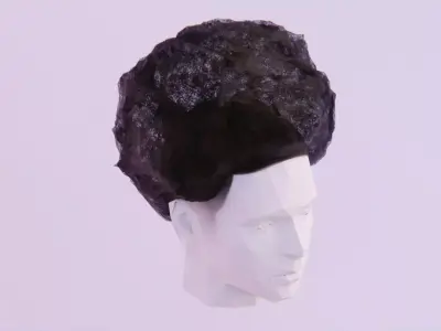Nappy Afro Low-poly 3D model