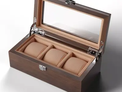 Luxury Watch Box 3D model