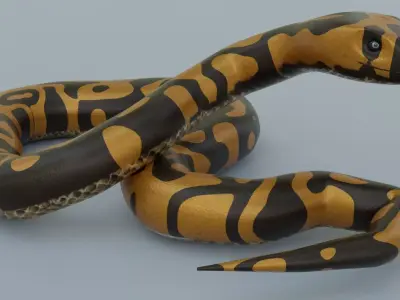 Python Snake - Rigged - Game Ready - PBR  Low-poly 3D model