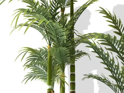 Plants 83 3D model