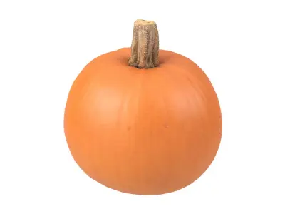 Photorealistic Pumpkin 3D Scan 2 3D model
