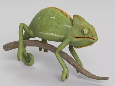 Chameleon 3D model