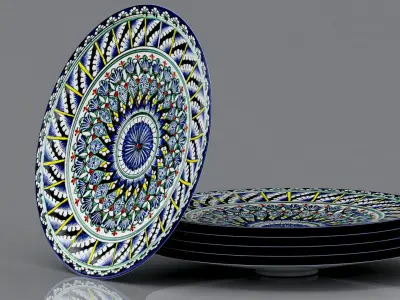 Plate Central Asia 2 3D model