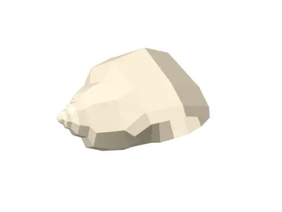 Shell geometry 3D model