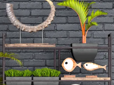 Decorative set plants on shelf 3D model