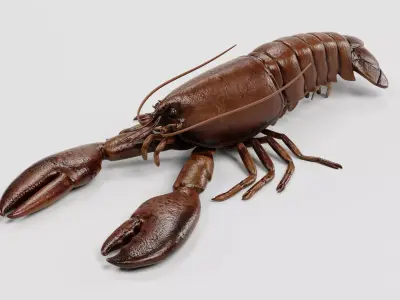 Lobster - Detailed Realistic Crustacean Homarus Americanus 3D model