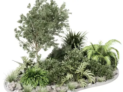 set outdoor indoor  pot plant tree bush fern the garden pot 3D model