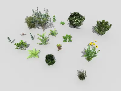 low poly foliage pack Low-poly 3D model