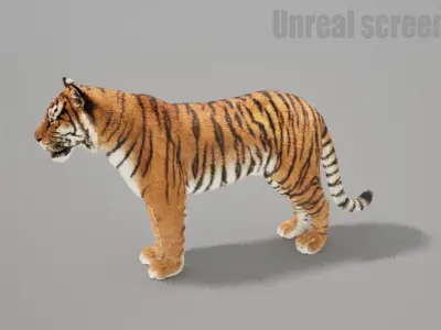 Bengal Tiger Animated UNREAL project  Maya base rig 3D model