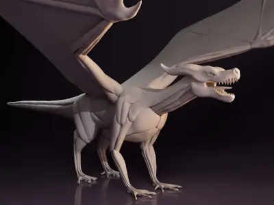 Anatomically accurate Dragon Base Mesh 3D model